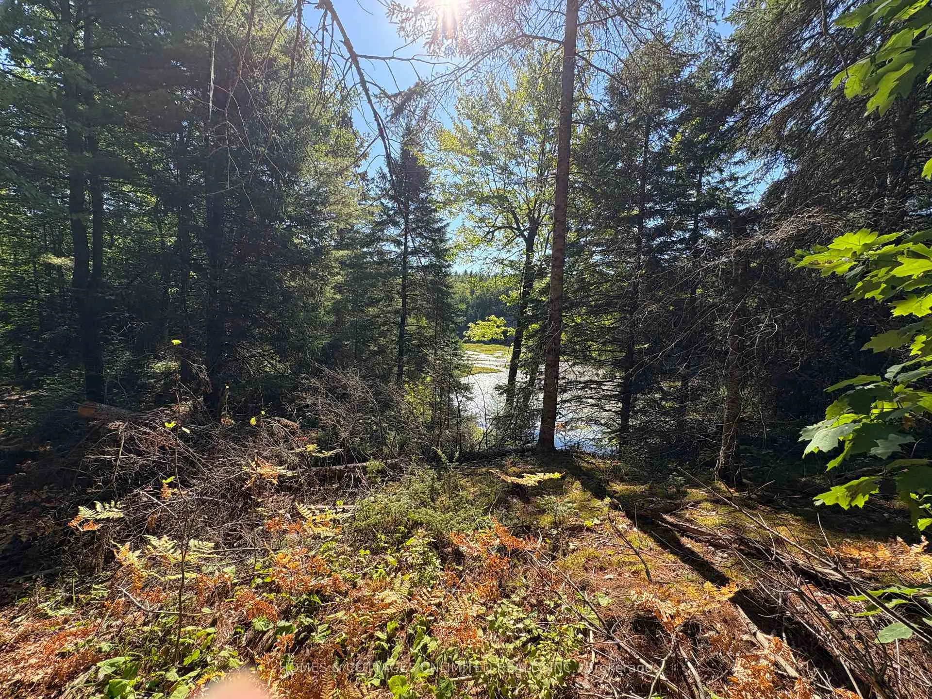 Photo 6 of Reids Road, Lanark Highlands, Lanark Highlands (Lanark) Twp — HOMEH