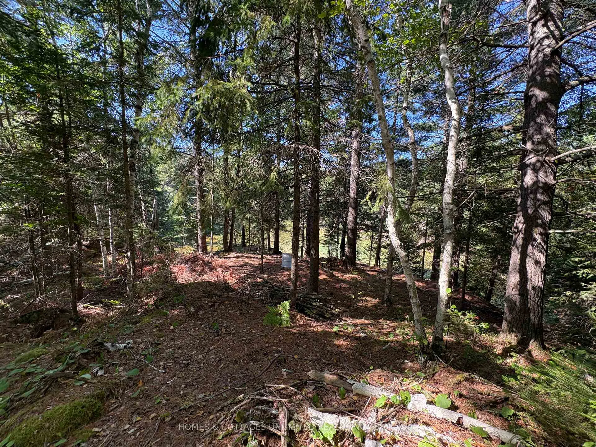 Photo 7 of Reids Road, Lanark Highlands, Lanark Highlands (Lanark) Twp — HOMEH