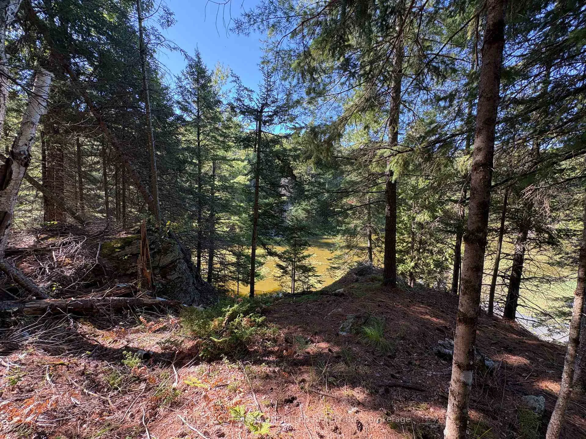 Photo 8 of Reids Road, Lanark Highlands, Lanark Highlands (Lanark) Twp — HOMEH