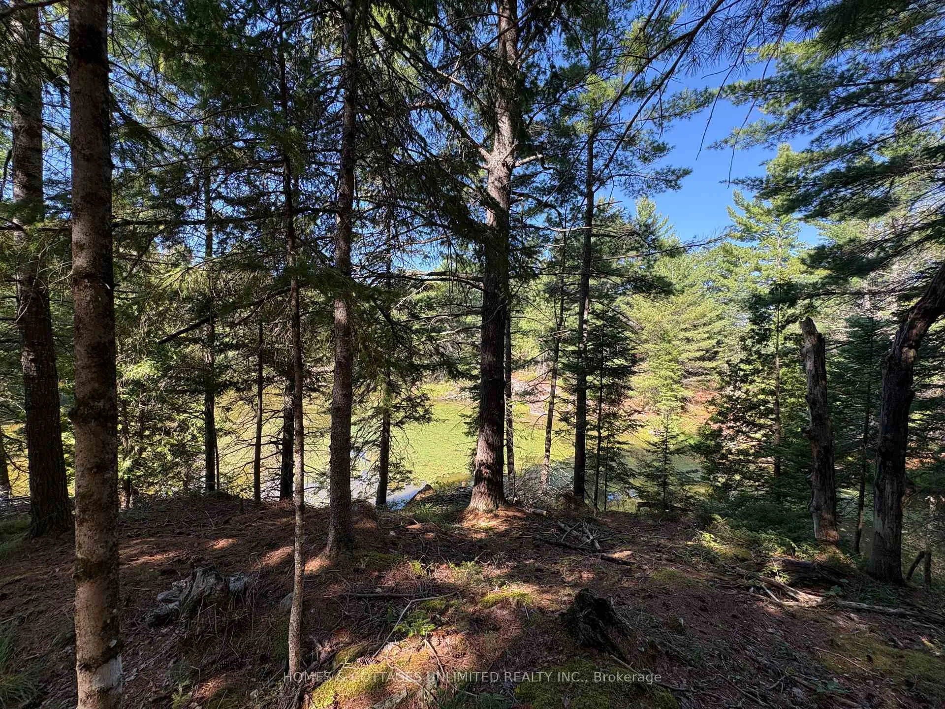 Photo 9 of Reids Road, Lanark Highlands, Lanark Highlands (Lanark) Twp — HOMEH