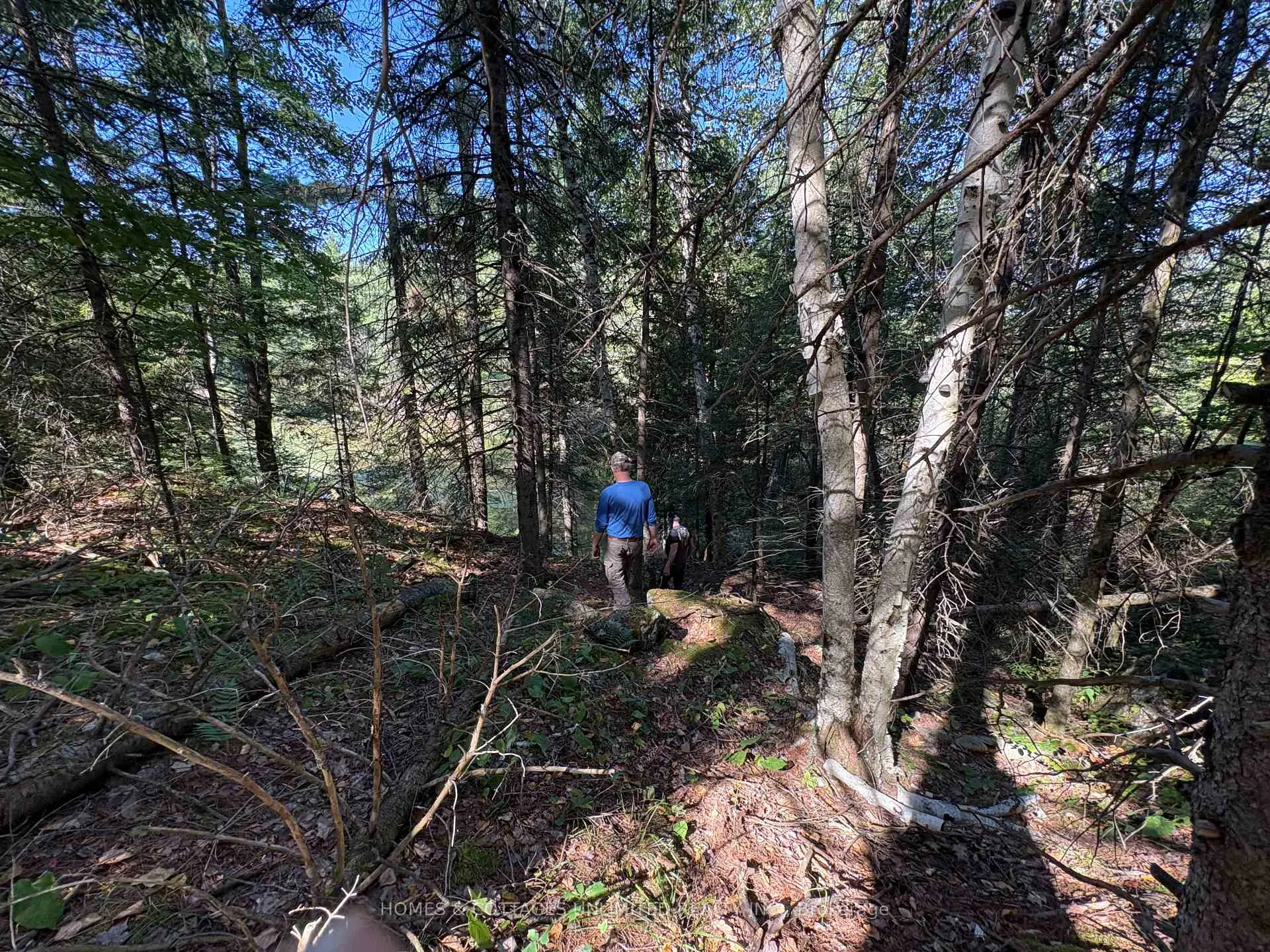 Photo 13 of Reids Road, Lanark Highlands, Lanark Highlands (Lanark) Twp — HOMEH