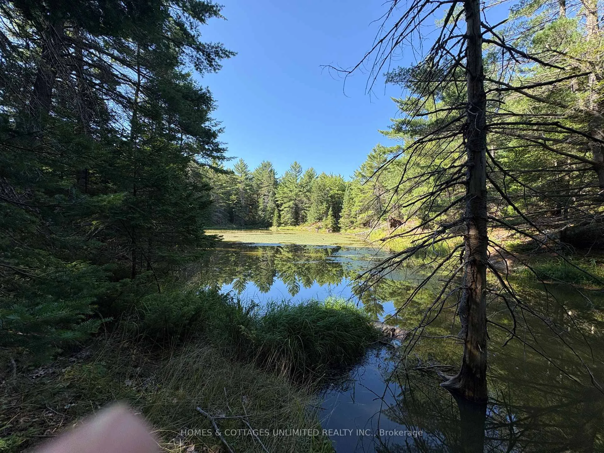 Photo 14 of Reids Road, Lanark Highlands, Lanark Highlands (Lanark) Twp — HOMEH