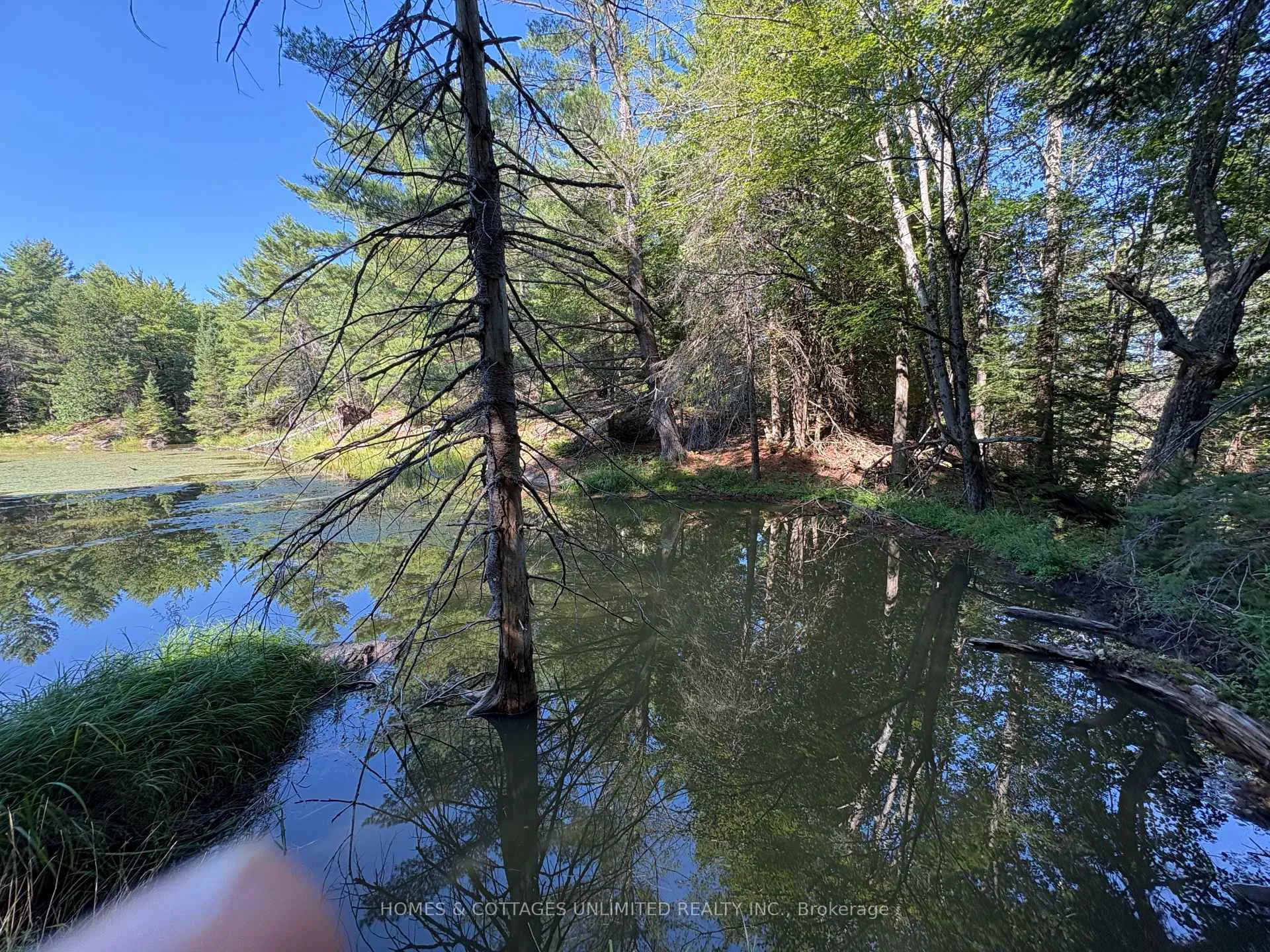 Photo 15 of Reids Road, Lanark Highlands, Lanark Highlands (Lanark) Twp — HOMEH