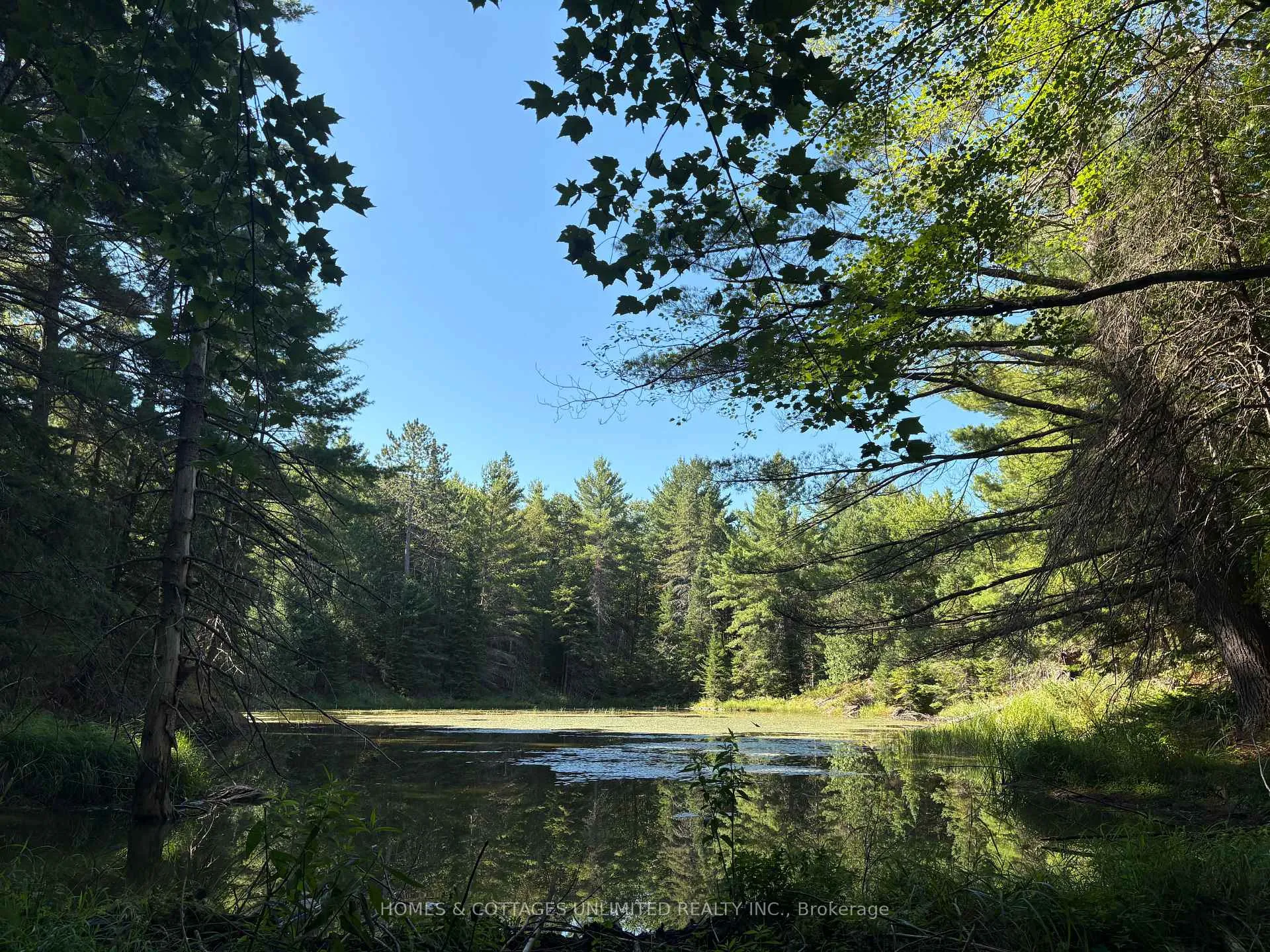 Photo 16 of Reids Road, Lanark Highlands, Lanark Highlands (Lanark) Twp — HOMEH