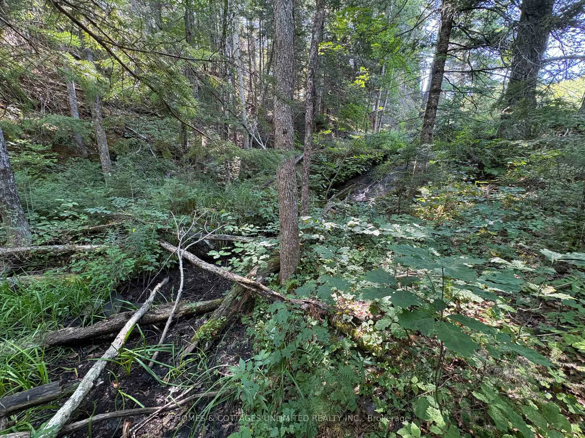 Photo 17 of Reids Road, Lanark Highlands, Lanark Highlands (Lanark) Twp — HOMEH
