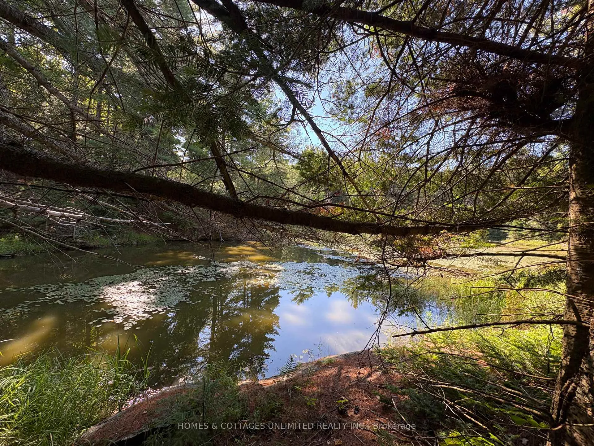 Photo 18 of Reids Road, Lanark Highlands, Lanark Highlands (Lanark) Twp — HOMEH