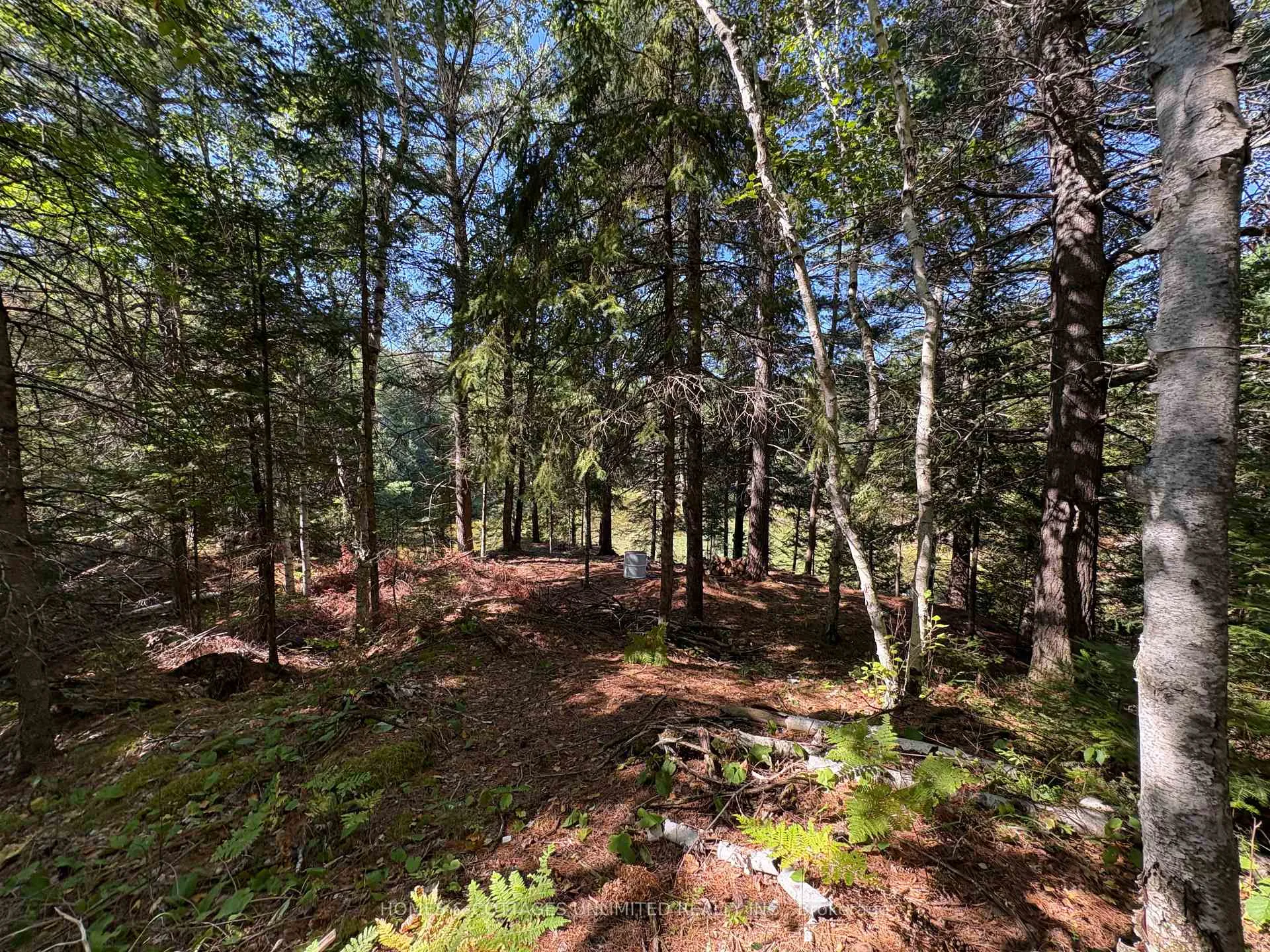 Photo 20 of Reids Road, Lanark Highlands, Lanark Highlands (Lanark) Twp — HOMEH