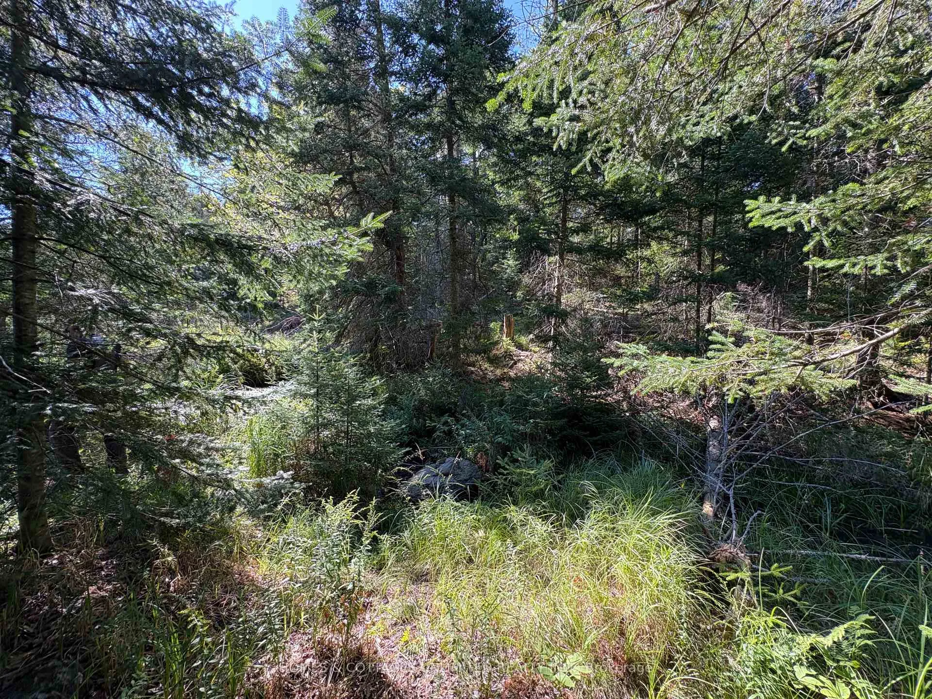 Photo 21 of Reids Road, Lanark Highlands, Lanark Highlands (Lanark) Twp — HOMEH