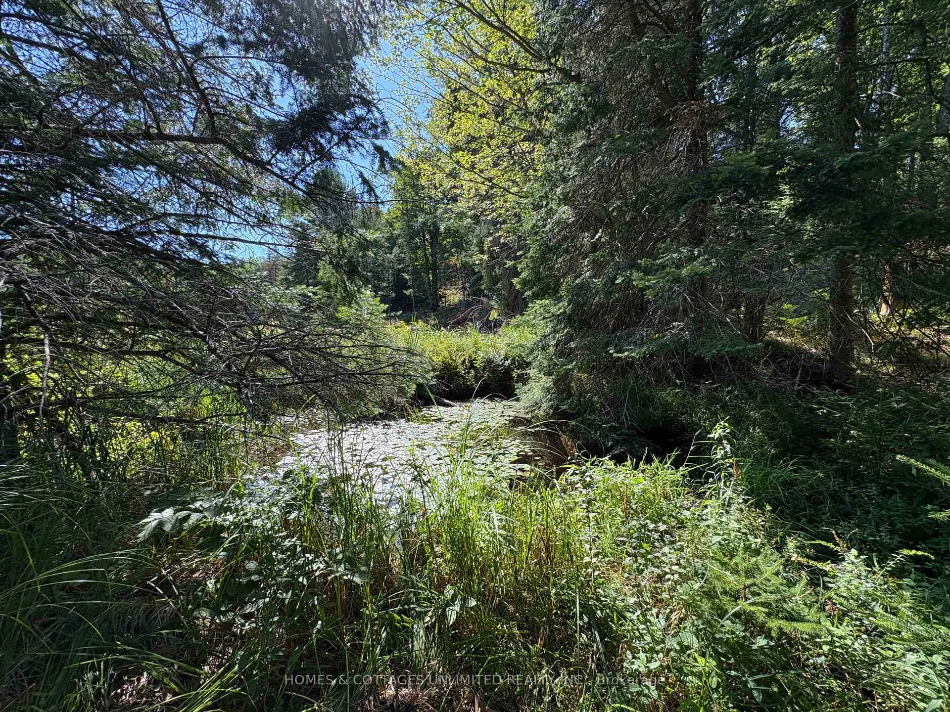 Photo 23 of Reids Road, Lanark Highlands, Lanark Highlands (Lanark) Twp — HOMEH