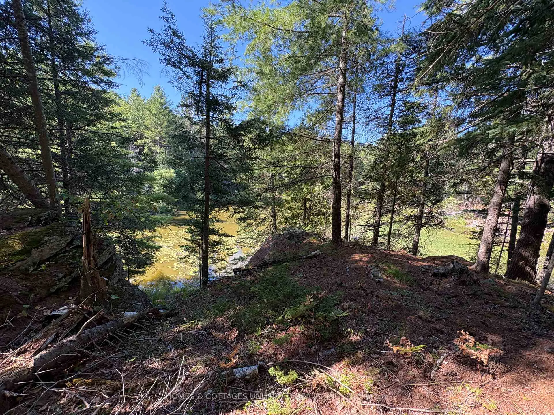 Photo 25 of Reids Road, Lanark Highlands, Lanark Highlands (Lanark) Twp — HOMEH