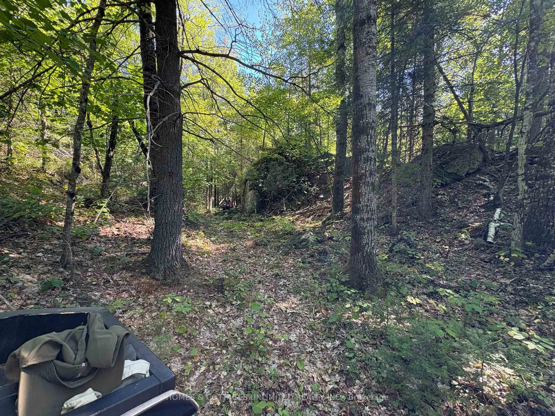 Photo 29 of Reids Road, Lanark Highlands, Lanark Highlands (Lanark) Twp — HOMEH