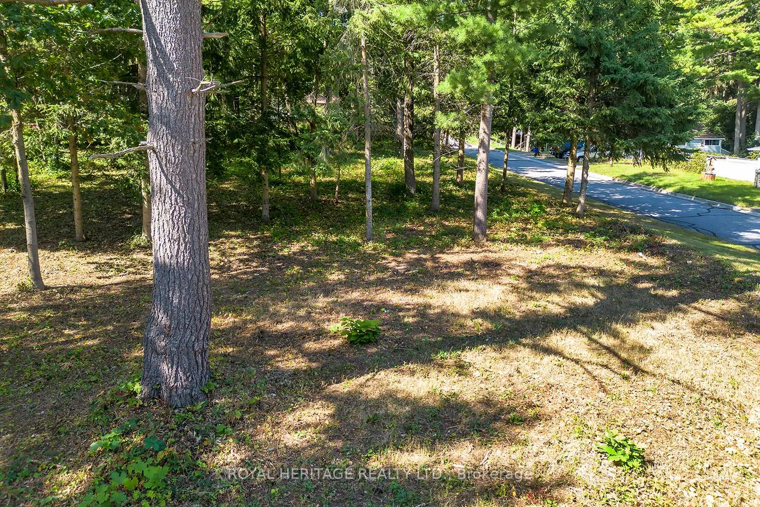 Photo 4 of Beech Street, Hamilton Township, Bewdley — HOMEH