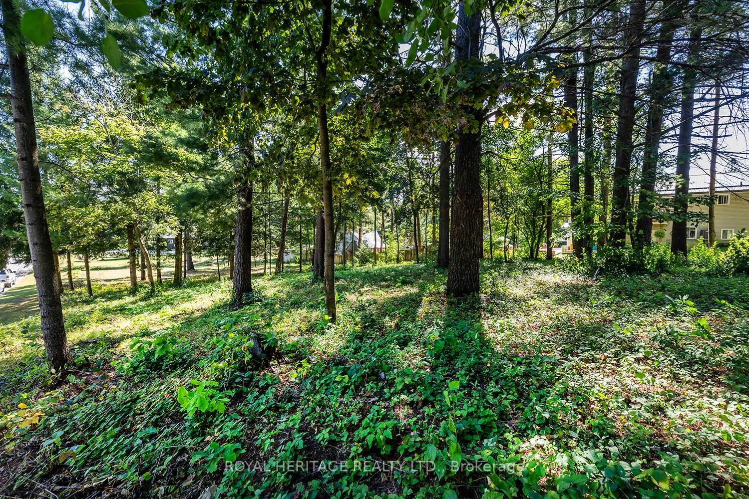 Photo 5 of Beech Street, Hamilton Township, Bewdley — HOMEH