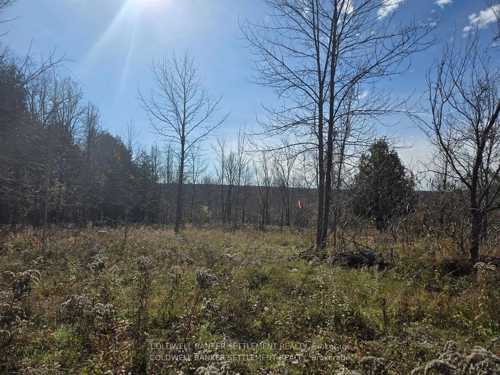 Photo 1 of Dalhousie Con 8 Concession, Lanark Highlands, Lanark Highlands (Dalhousie) Twp — HOMEH