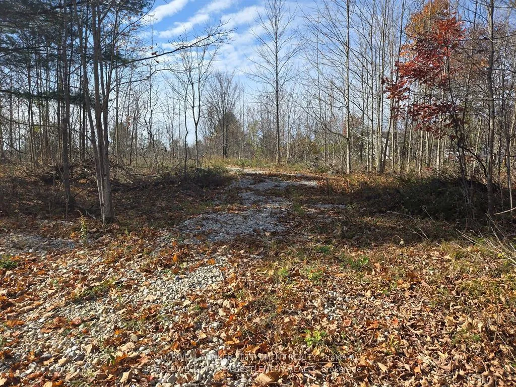 Photo 2 of Dalhousie Con 8 Concession, Lanark Highlands, Lanark Highlands (Dalhousie) Twp — HOMEH