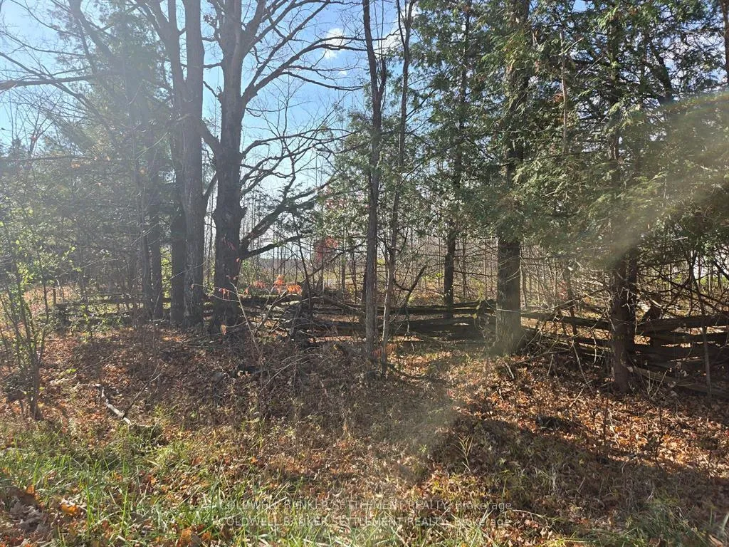 Photo 3 of Dalhousie Con 8 Concession, Lanark Highlands, Lanark Highlands (Dalhousie) Twp — HOMEH