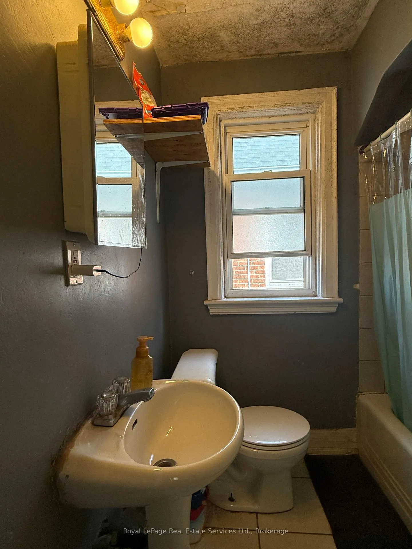 Photo 11 of 129 Tolton Avenue, Hamilton, Normanhurst — HOMEH
