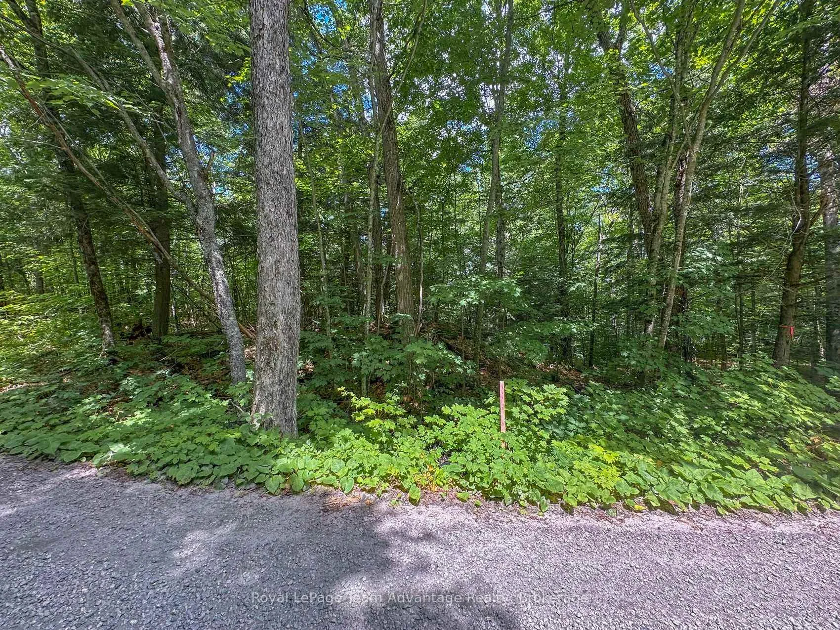 Photo 3 of 186 Silver Lake Road E, Magnetawan, Spence — HOMEH