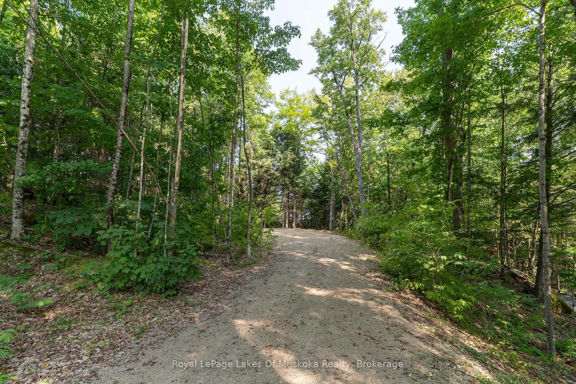 Photo 12 of 1206 Minden Point Trail, Algonquin Highlands, Sherborne — HOMEH