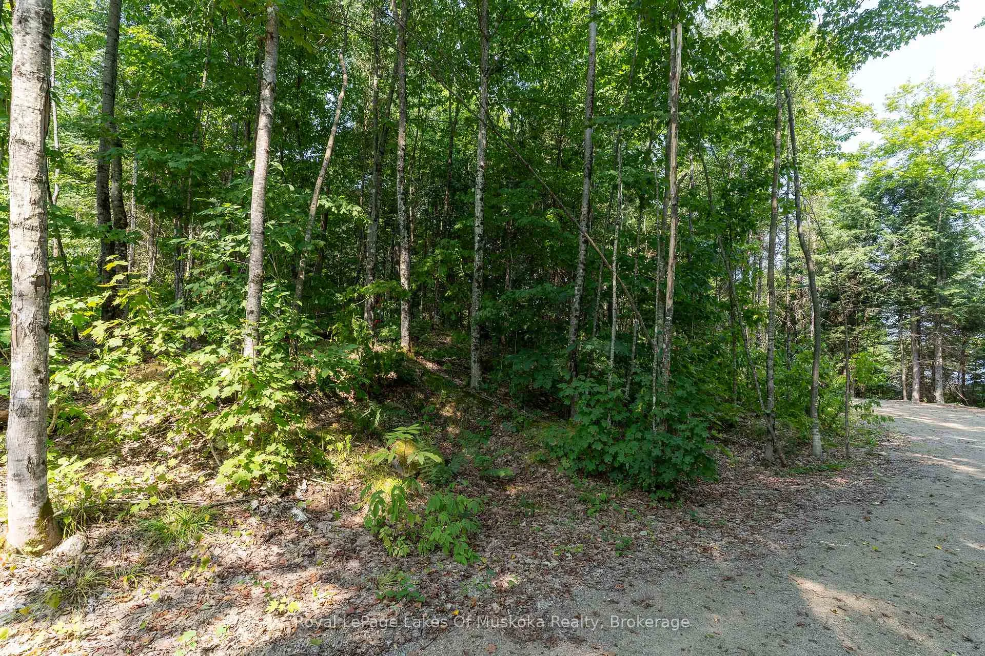 Photo 13 of 1206 Minden Point Trail, Algonquin Highlands, Sherborne — HOMEH