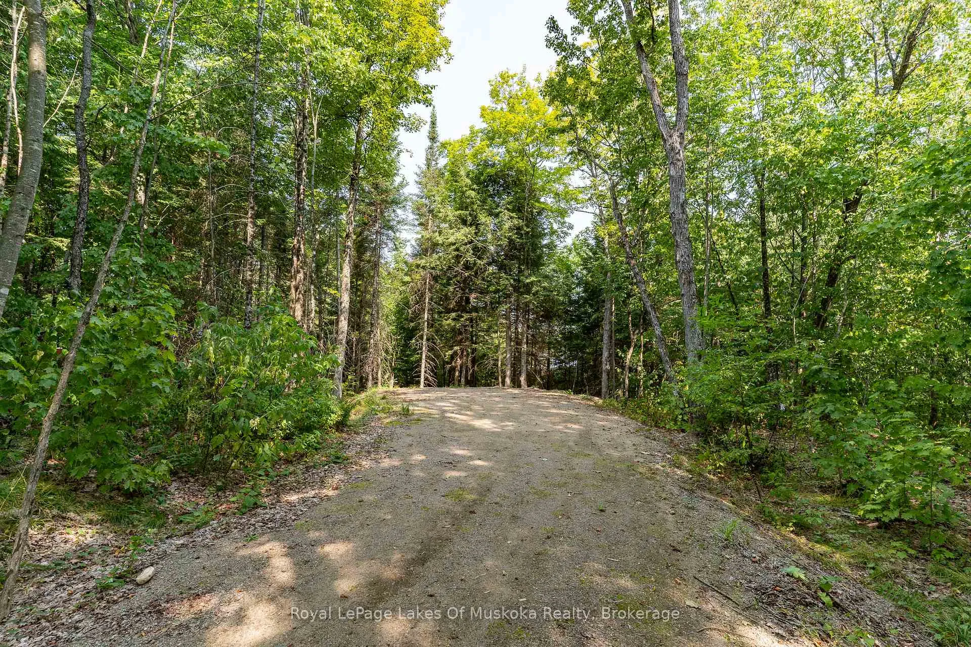 Photo 14 of 1206 Minden Point Trail, Algonquin Highlands, Sherborne — HOMEH