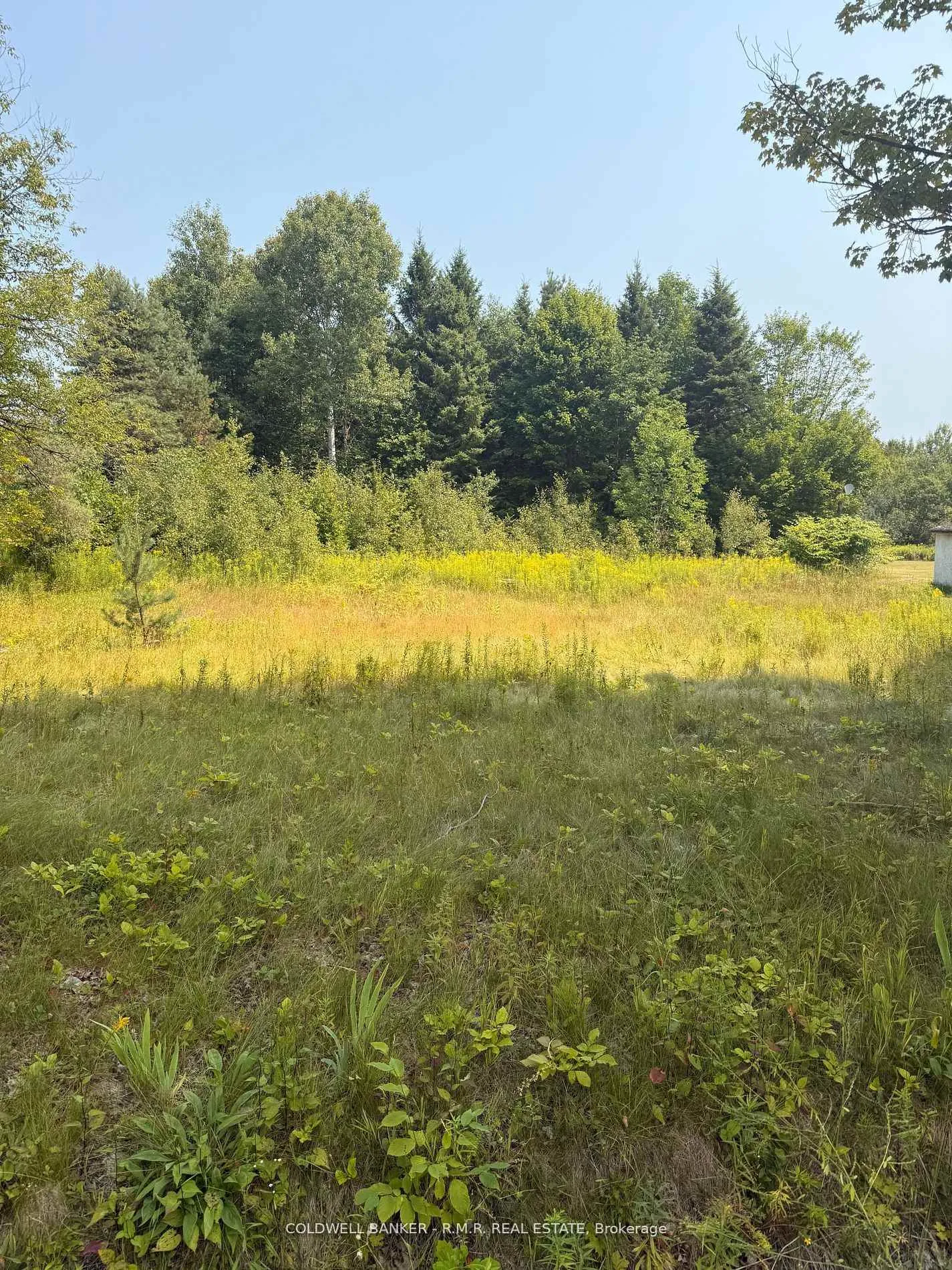 Photo of 3995 Boulter Road