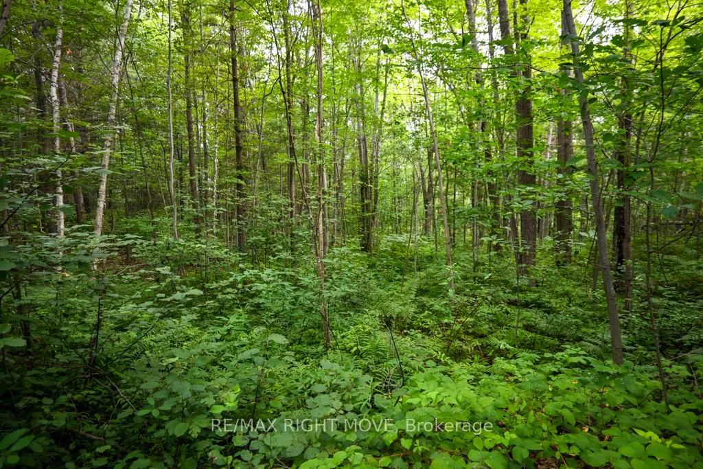 Photo 5 of 4544 Bowles Lane, Severn, Washago — HOMEH