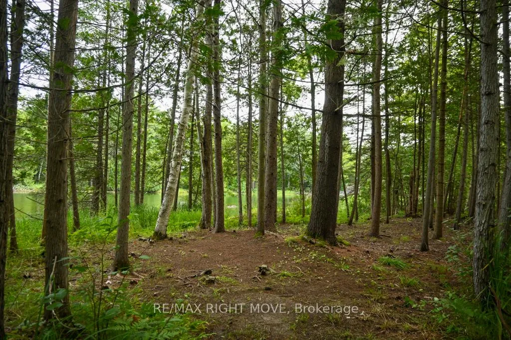 Photo 8 of 4544 Bowles Lane, Severn, Washago — HOMEH