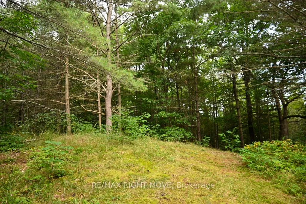 Photo 9 of 4544 Bowles Lane, Severn, Washago — HOMEH