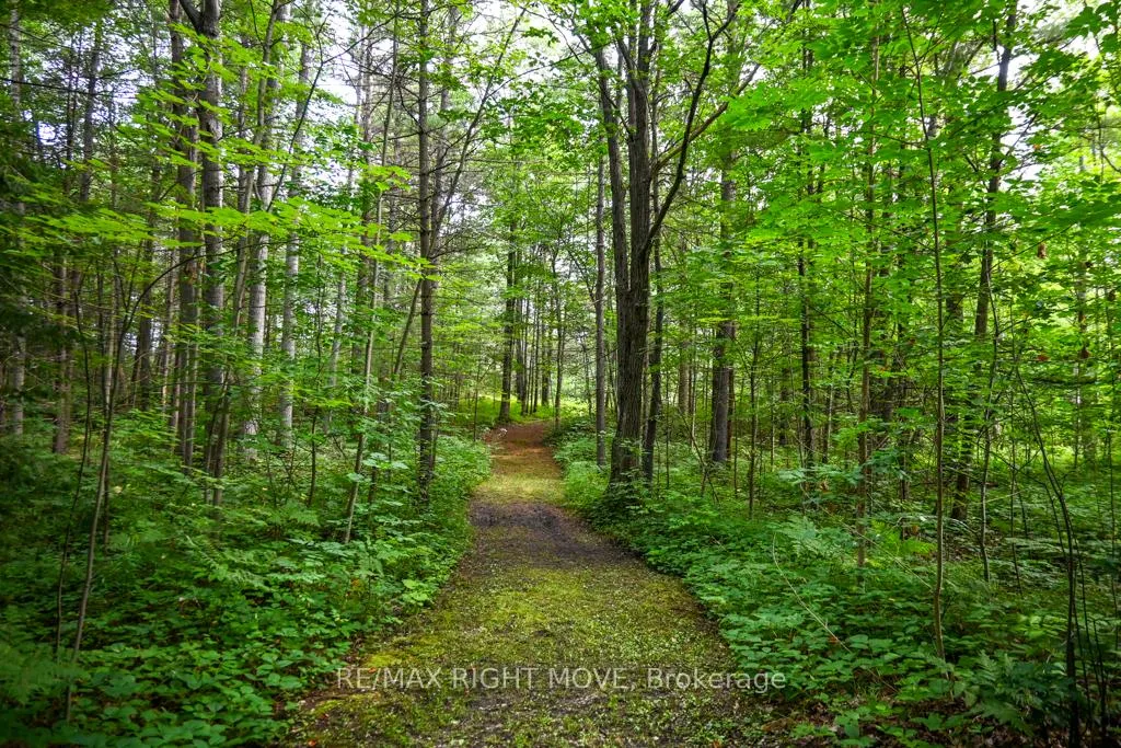 Photo 10 of 4544 Bowles Lane, Severn, Washago — HOMEH