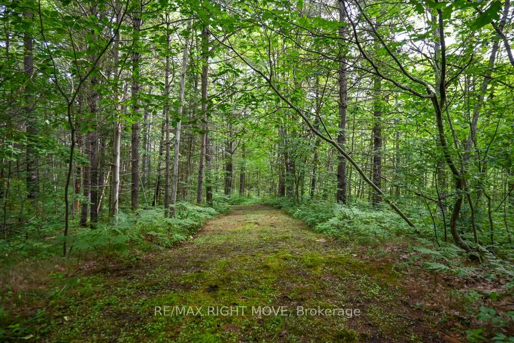 Photo 11 of 4544 Bowles Lane, Severn, Washago — HOMEH