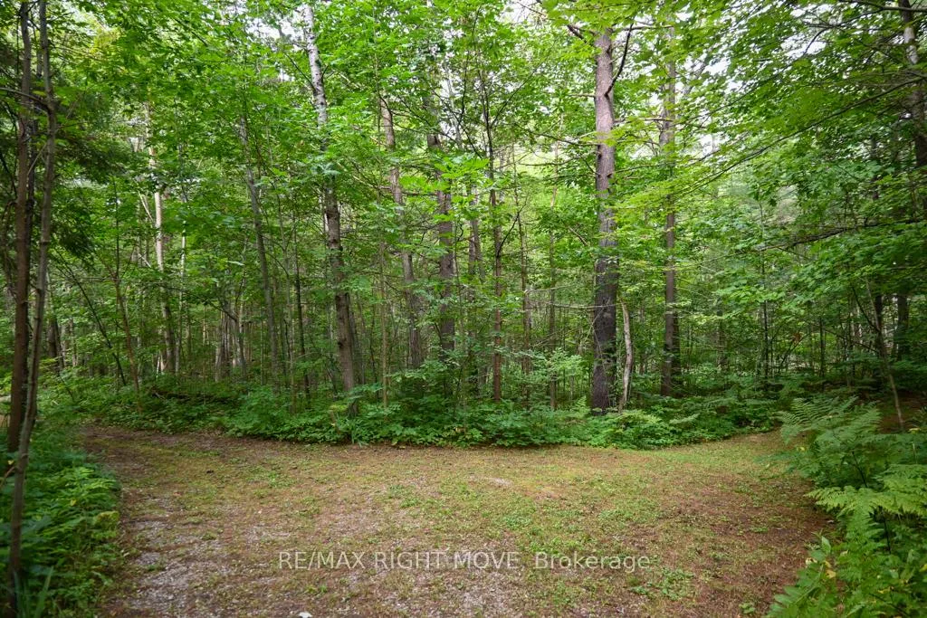 Photo 12 of 4544 Bowles Lane, Severn, Washago — HOMEH