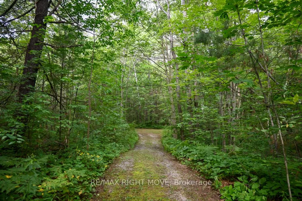 Photo 13 of 4544 Bowles Lane, Severn, Washago — HOMEH