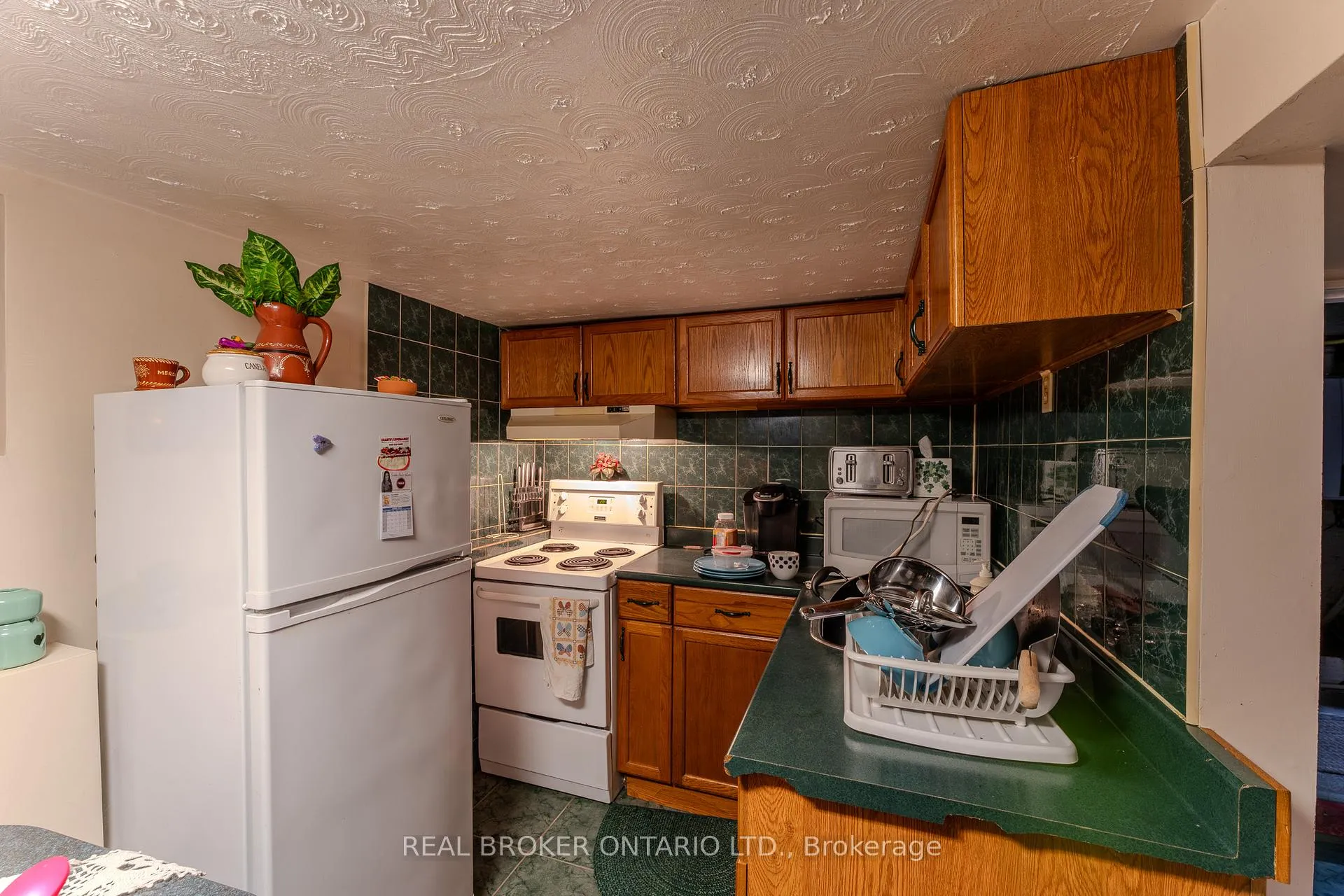 Photo 16 of 33 Clyde Street, Hamilton, Landsdale — HOMEH
