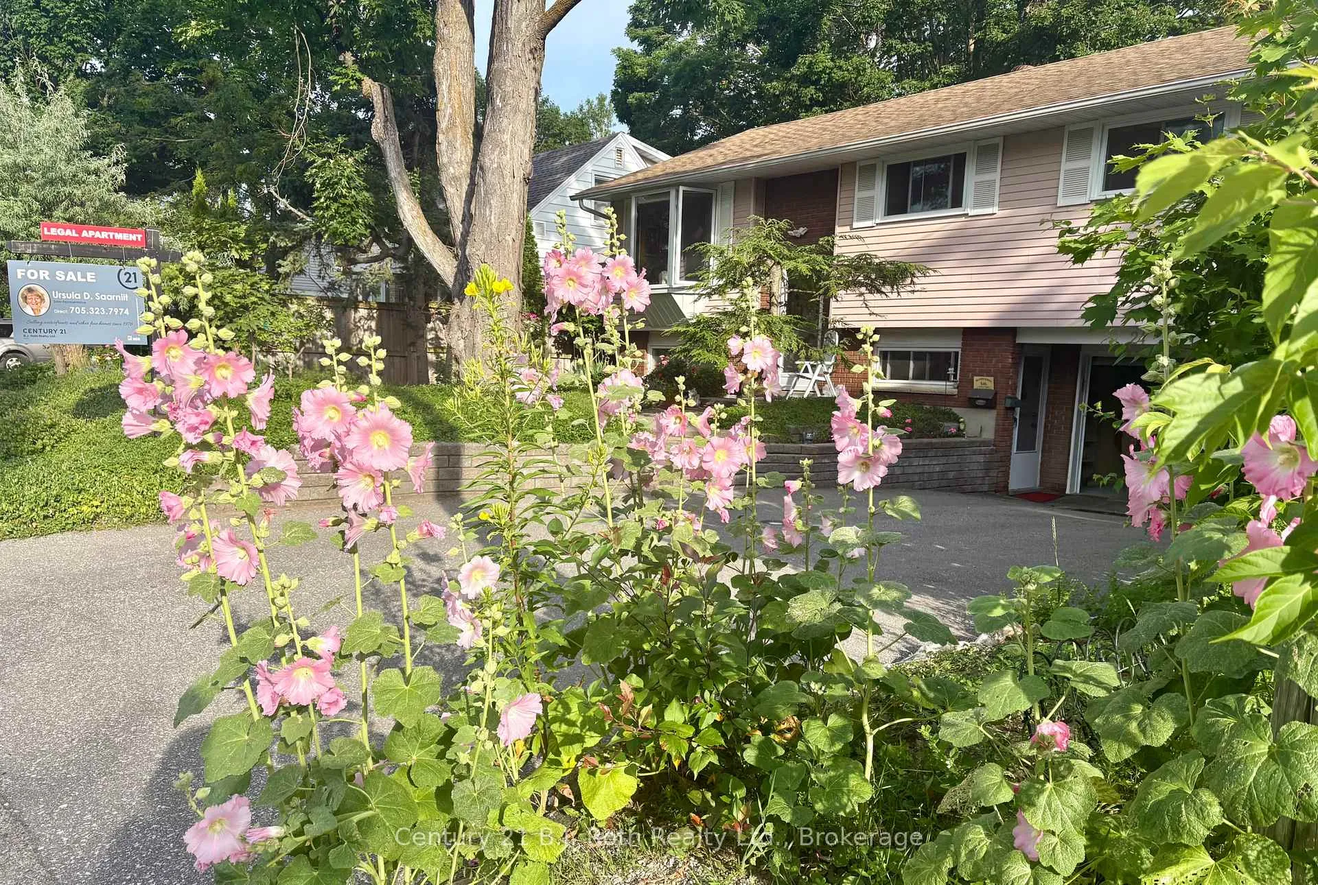 Photo 39 of 24 Champlain Street, Orillia — HOMEH