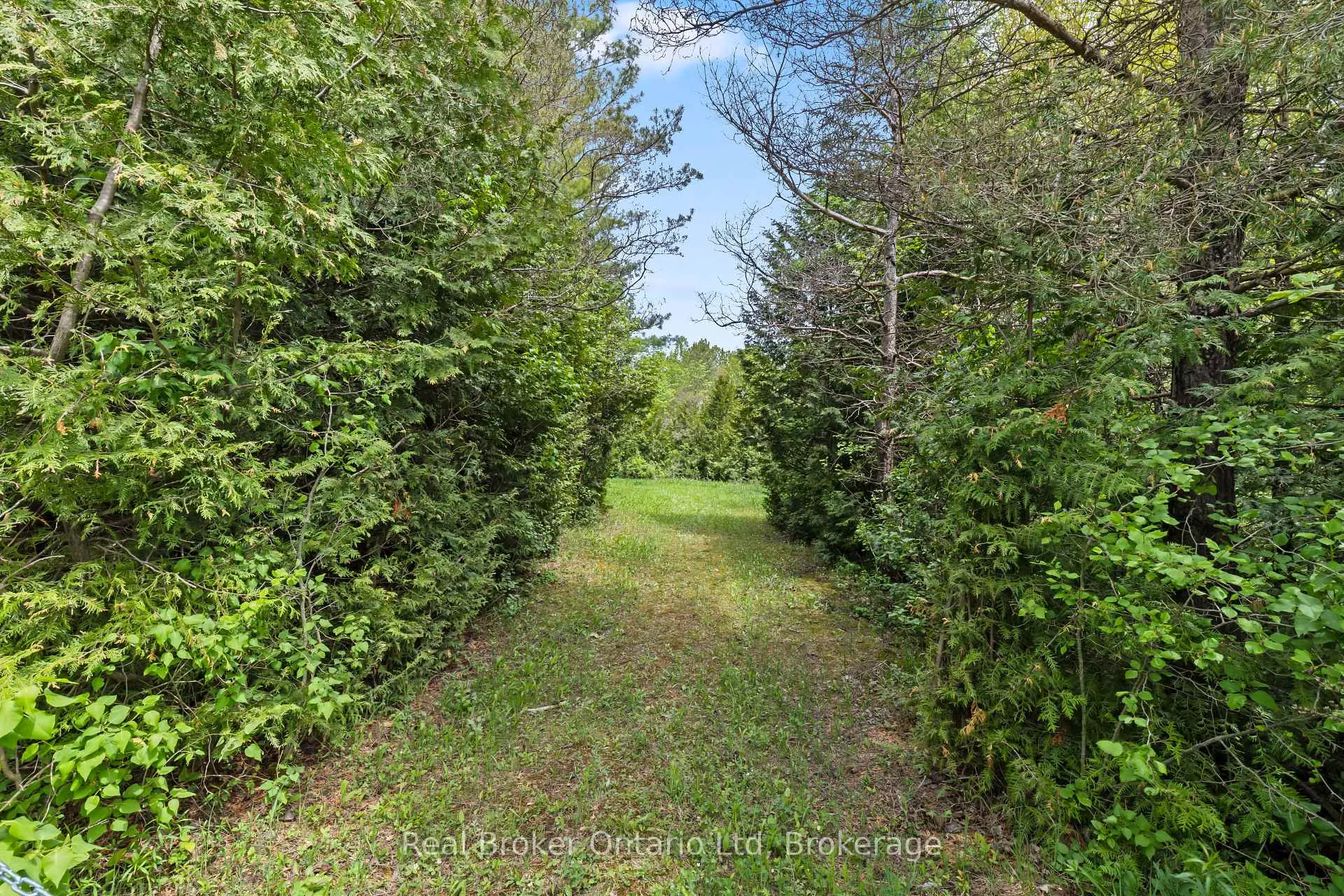 Photo 3 of Pt Lt 70 Con 2 Concession, Chatsworth — HOMEH