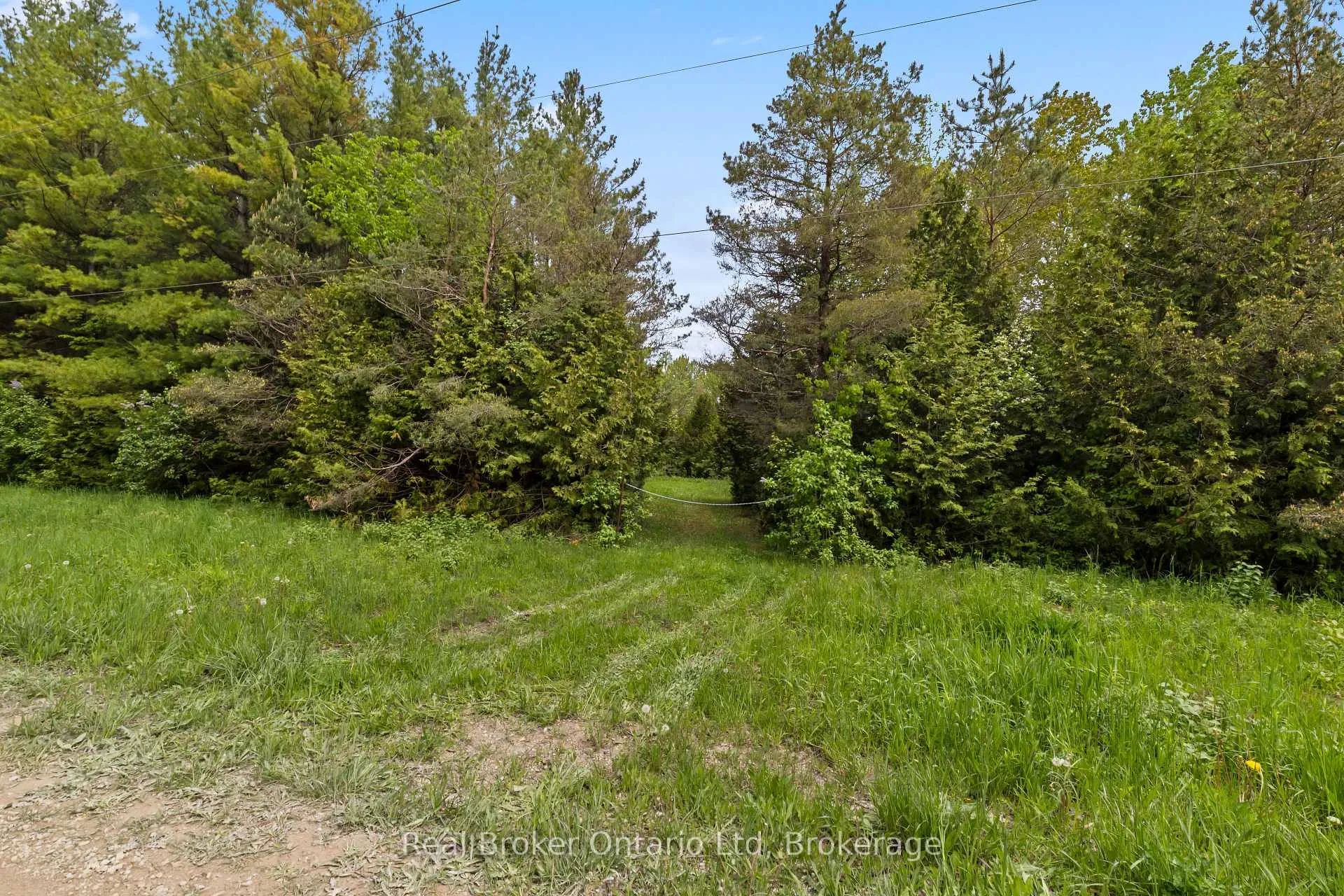Photo 4 of Pt Lt 70 Con 2 Concession, Chatsworth — HOMEH