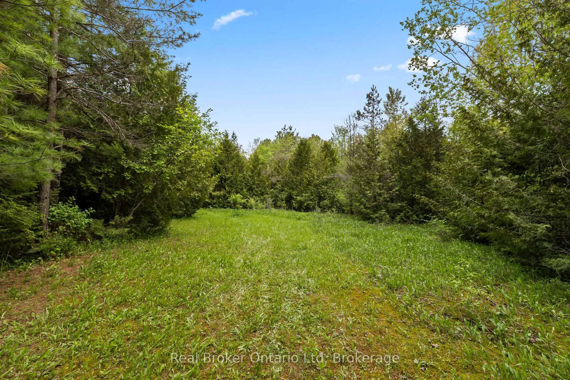 Photo 5 of Pt Lt 70 Con 2 Concession, Chatsworth — HOMEH