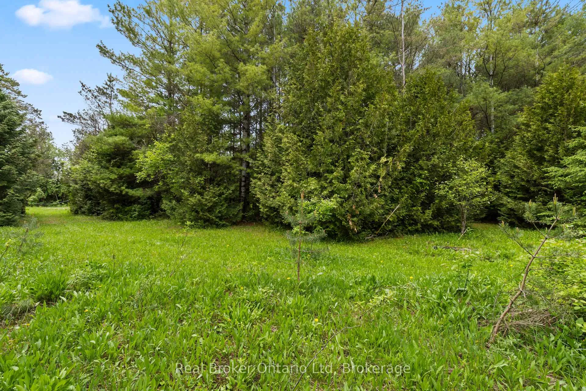Photo 6 of Pt Lt 70 Con 2 Concession, Chatsworth — HOMEH