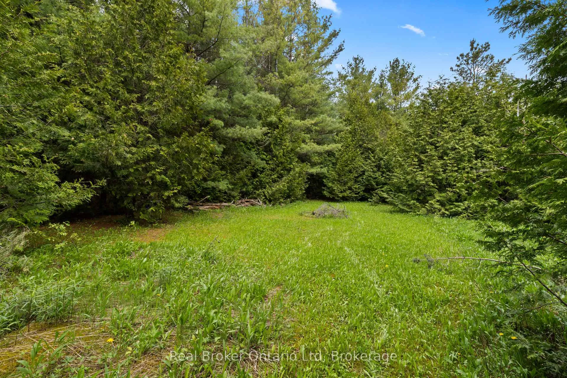 Photo 7 of Pt Lt 70 Con 2 Concession, Chatsworth — HOMEH