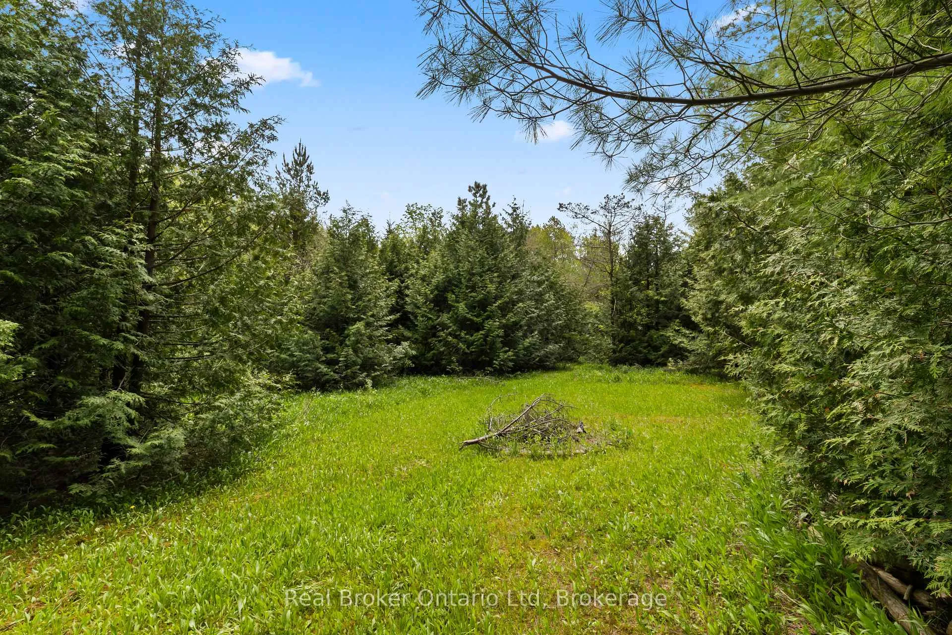 Photo 8 of Pt Lt 70 Con 2 Concession, Chatsworth — HOMEH