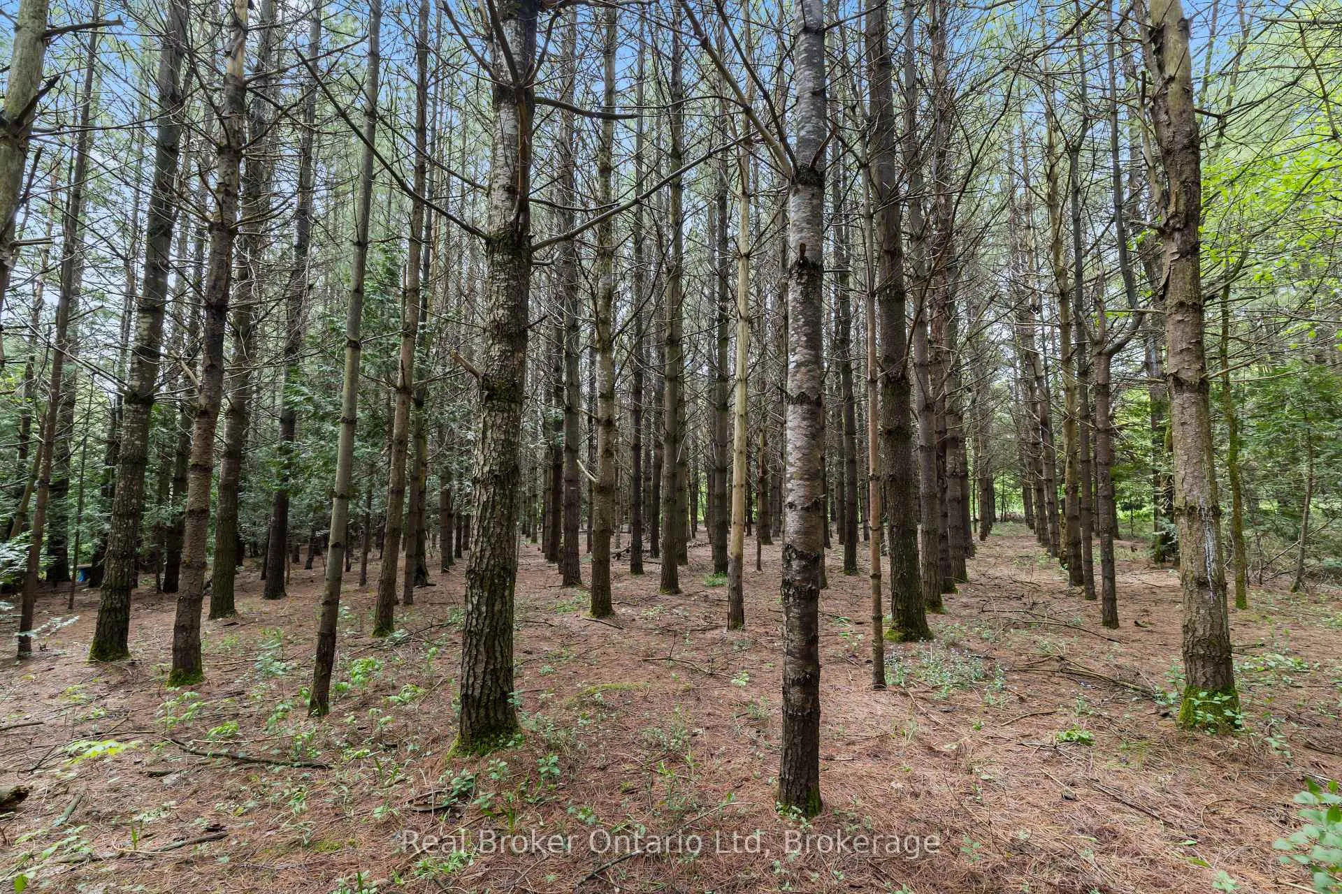 Photo 9 of Pt Lt 70 Con 2 Concession, Chatsworth — HOMEH