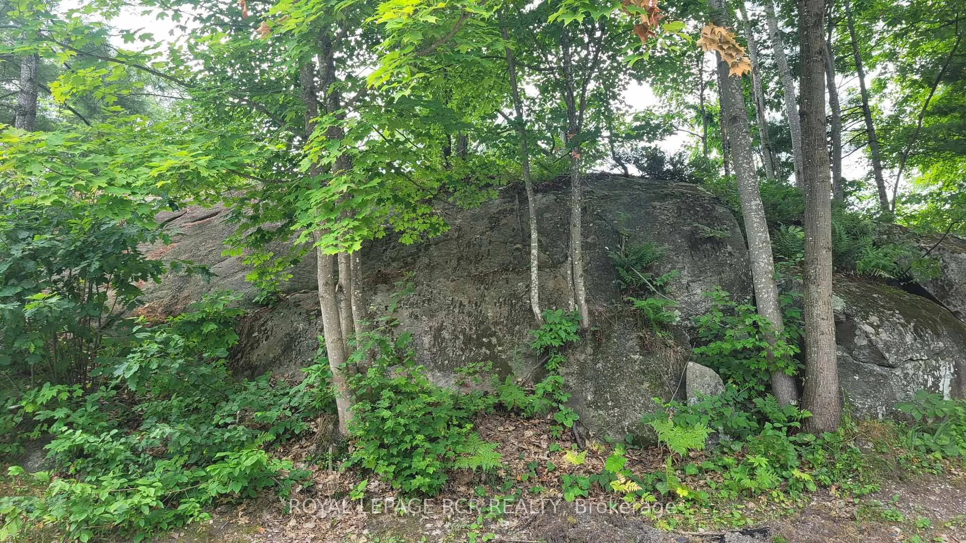 Photo 2 of Unit 31, 1007 Racoon Road, Gravenhurst, Morrison — HOMEH