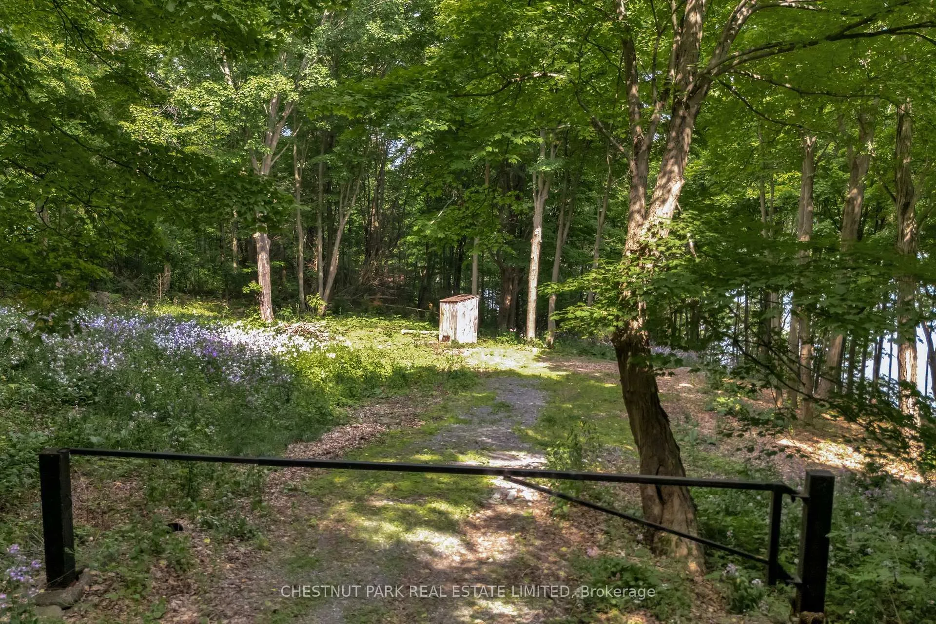Photo 4 of McCarthy Lane, Prince Edward County, North Marysburgh — HOMEH