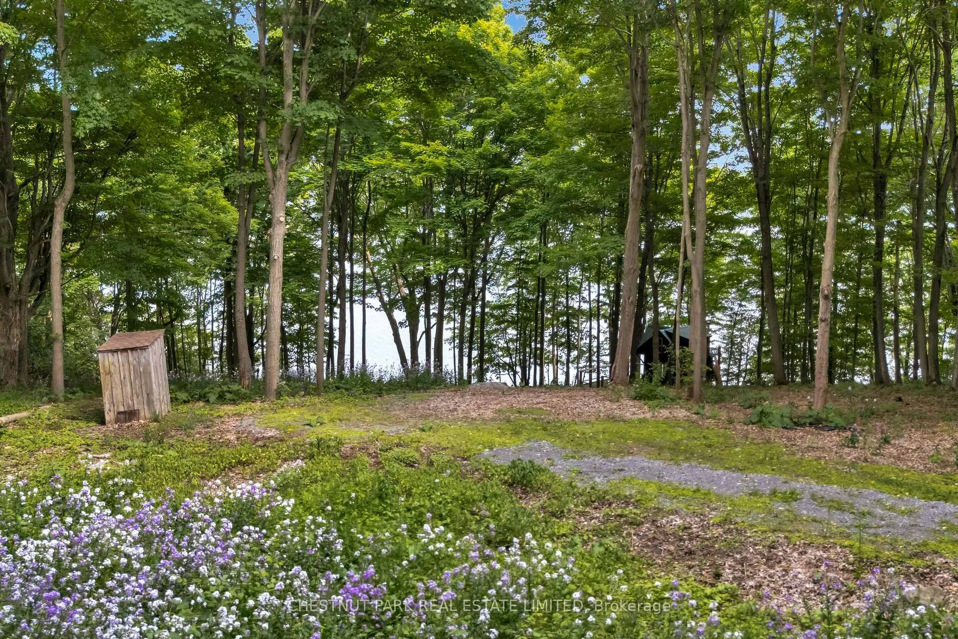 Photo 5 of McCarthy Lane, Prince Edward County, North Marysburgh — HOMEH