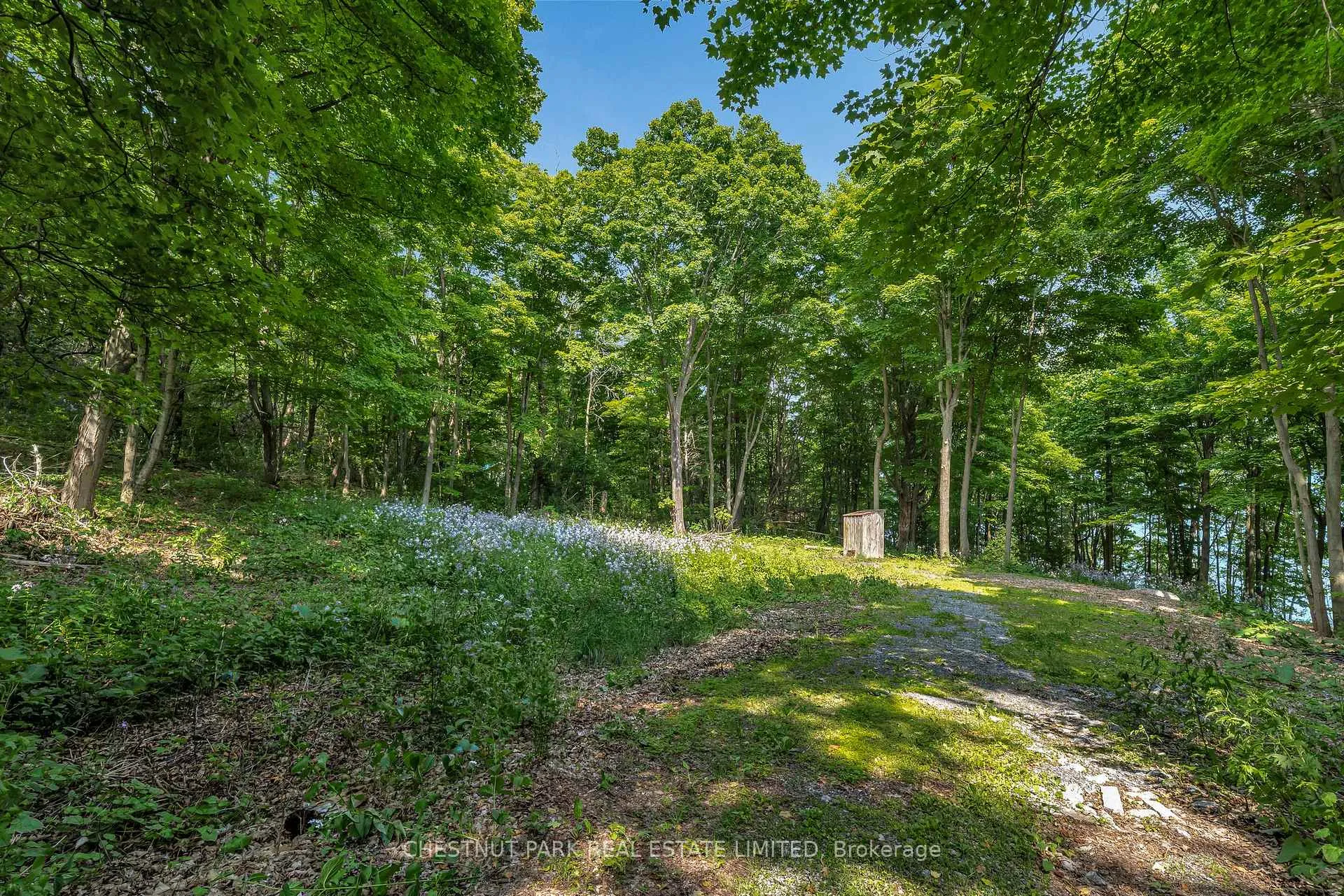 Photo 7 of McCarthy Lane, Prince Edward County, North Marysburgh — HOMEH