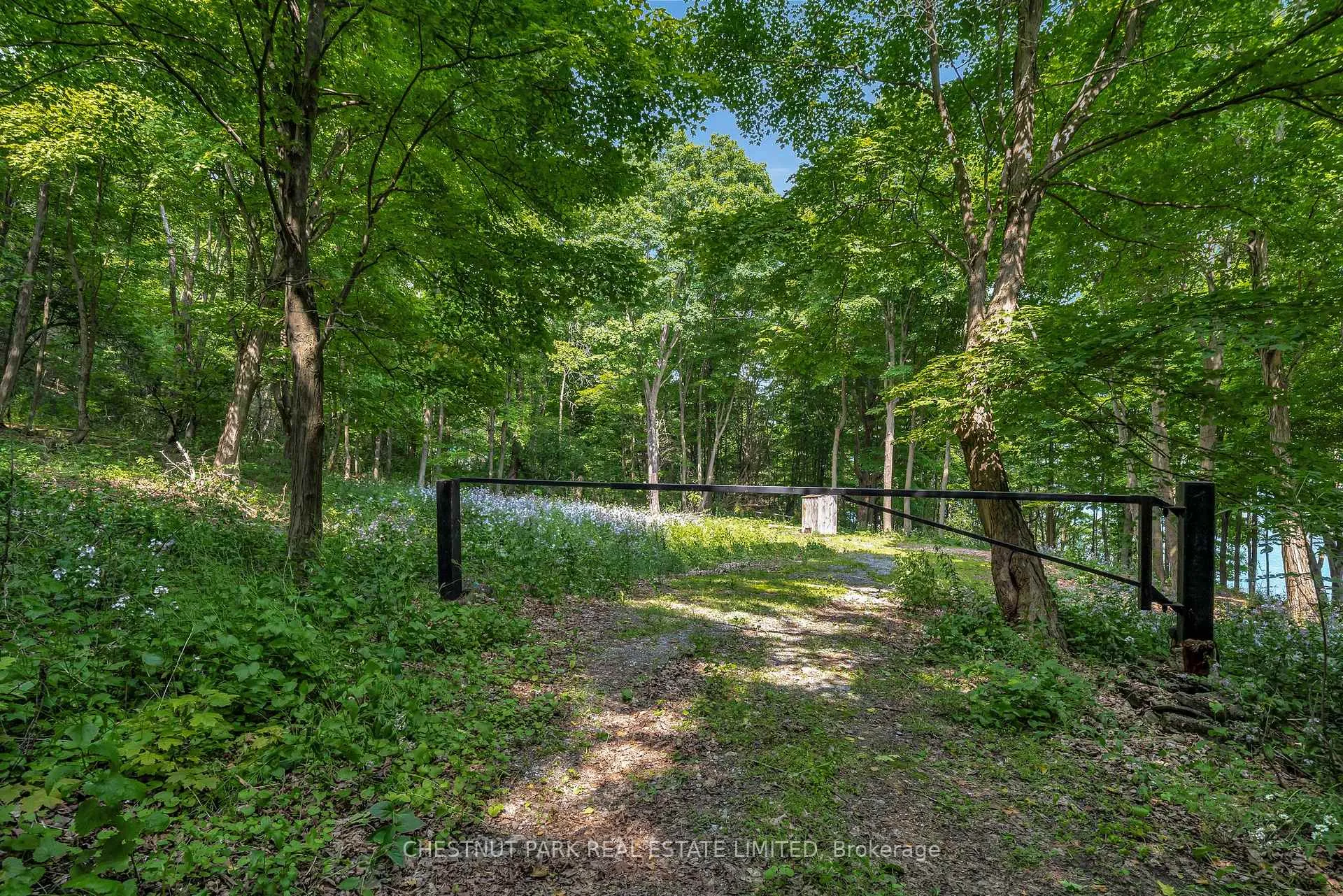 Photo 8 of McCarthy Lane, Prince Edward County, North Marysburgh — HOMEH