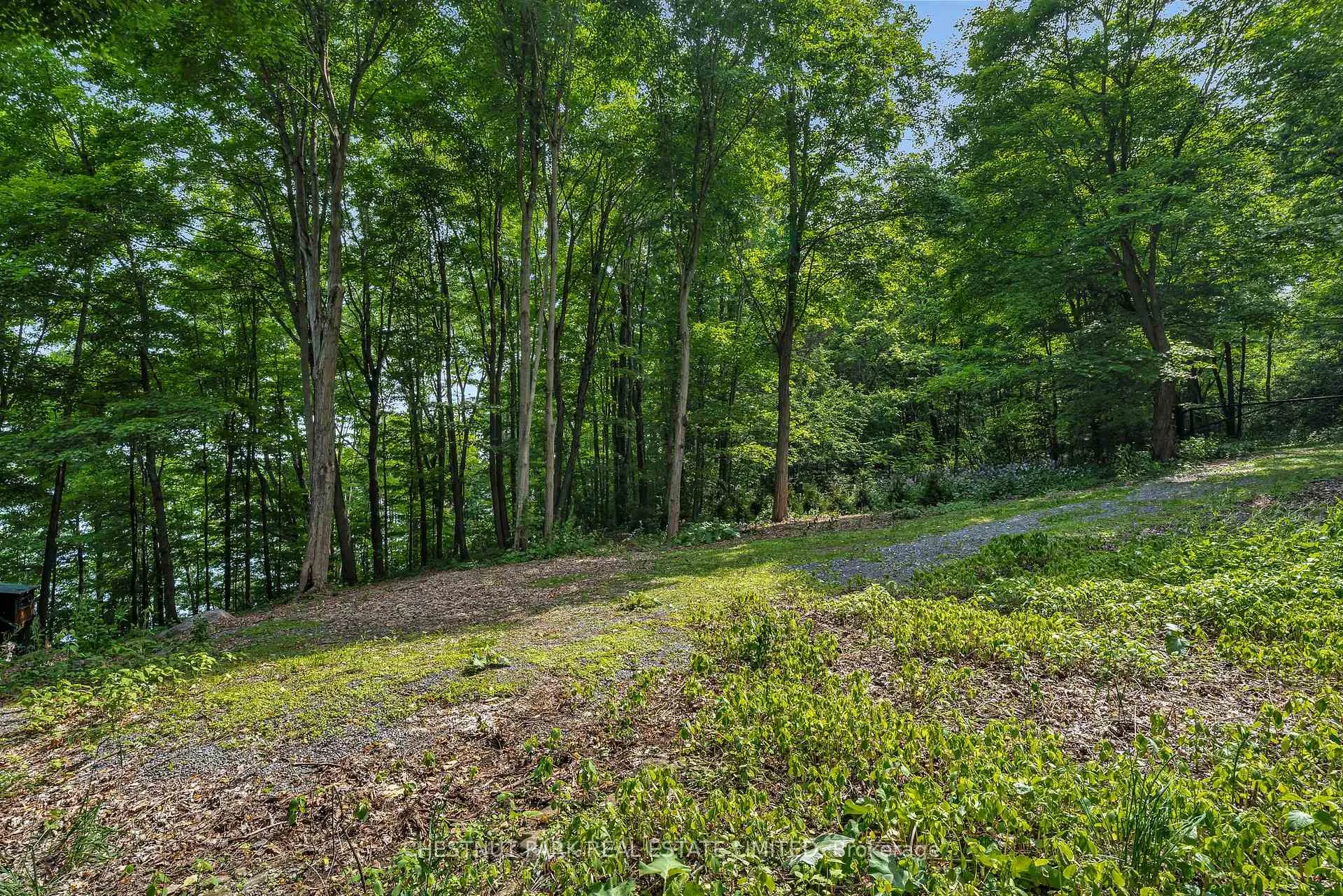 Photo 9 of McCarthy Lane, Prince Edward County, North Marysburgh — HOMEH