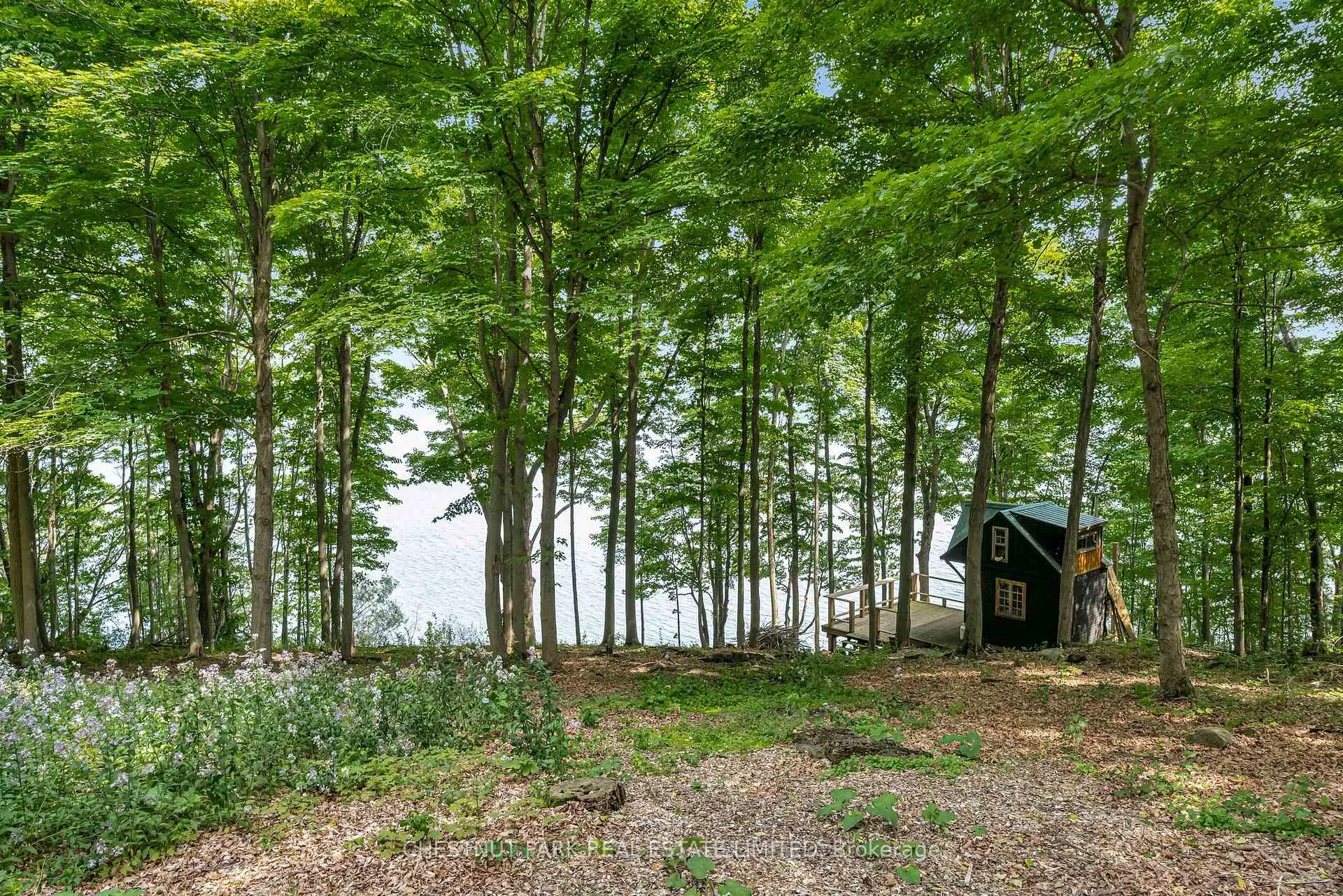 Photo 10 of McCarthy Lane, Prince Edward County, North Marysburgh — HOMEH