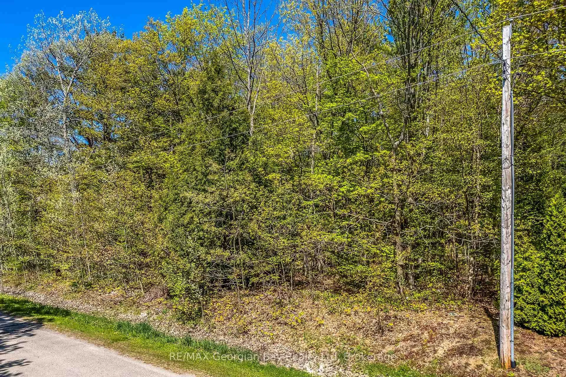 Photo 3 of Lot 61 Rue Camille Road, Tiny, Rural Tiny — HOMEH